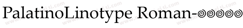 PalatinoLinotype Roman字体转换